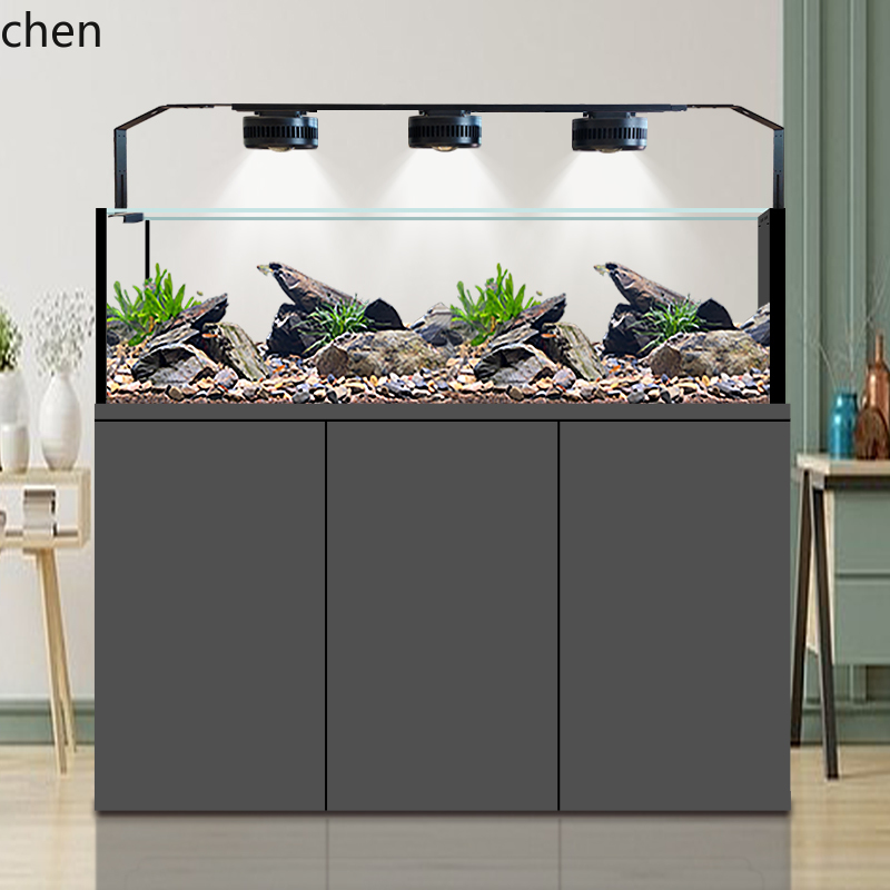 CZ Fish Tank Native Wild Colle – Wild Aquarium Fish Bewertung und Preis