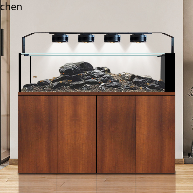 CZ Fish Tank Native Wild Colle – Wild Aquarium Fish Bewertung und Preis