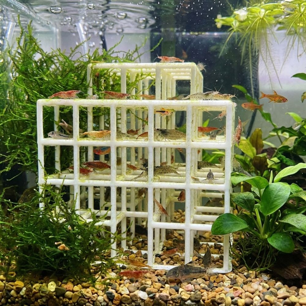 3D-Gedrucktes Fisch- und Garne – Aquarium Fish Hiding Places Bewertung und Preis