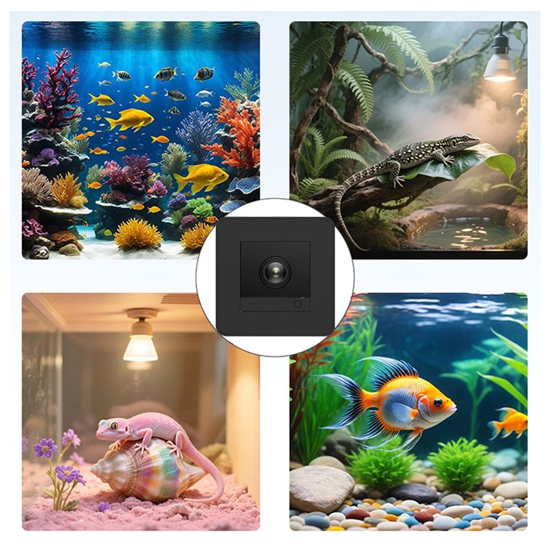 Preissenkung! !】Aquariumkamera – Aquarium Fish And Price Bewertung und Preis