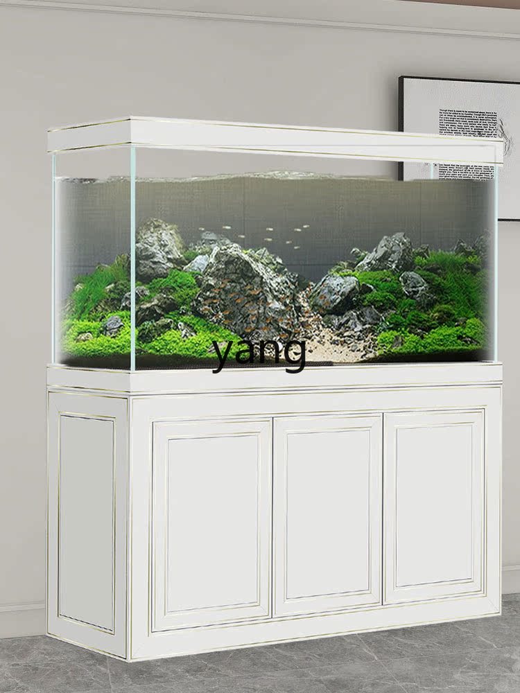LH Super Weißglas Mittelgroßes – Aquarium Fish Dragon Bewertung und Preis