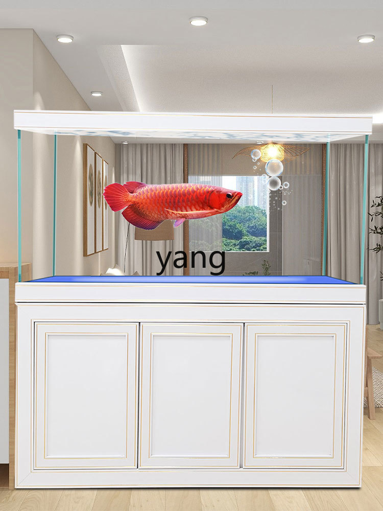 LH Super Weißglas Mittelgroßes – Aquarium Fish Dragon Bewertung und Preis