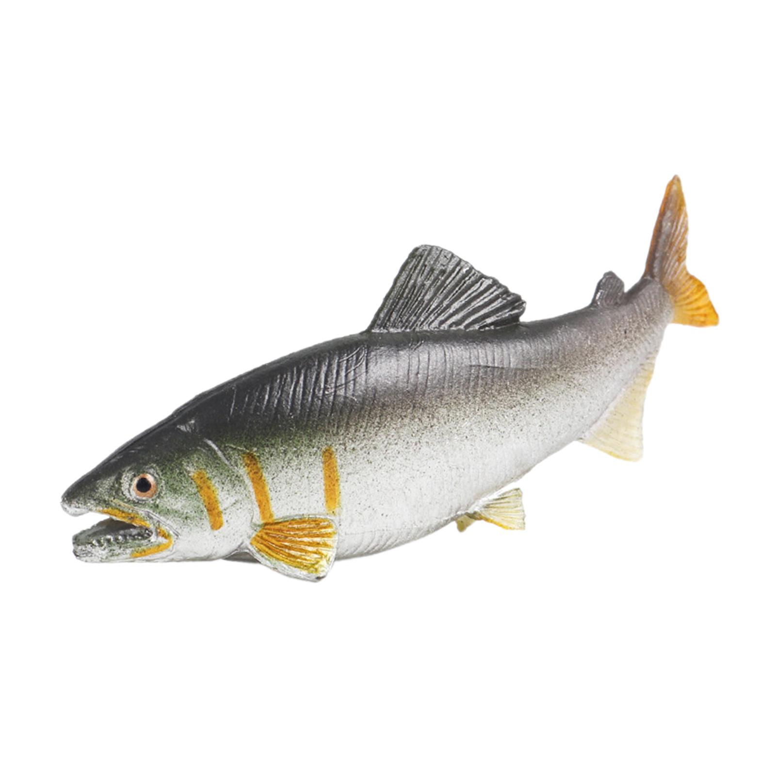 3x Fischspielzeug, Aquarium-De – Fish Toys For Aquarium Bewertung und Preis