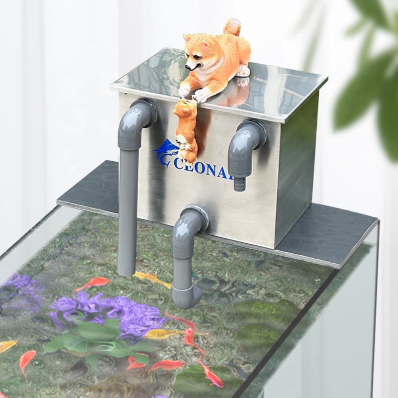 Direktverkauf ab Werk, Aquariu – Aquarium Fish Sale Bewertung und Preis