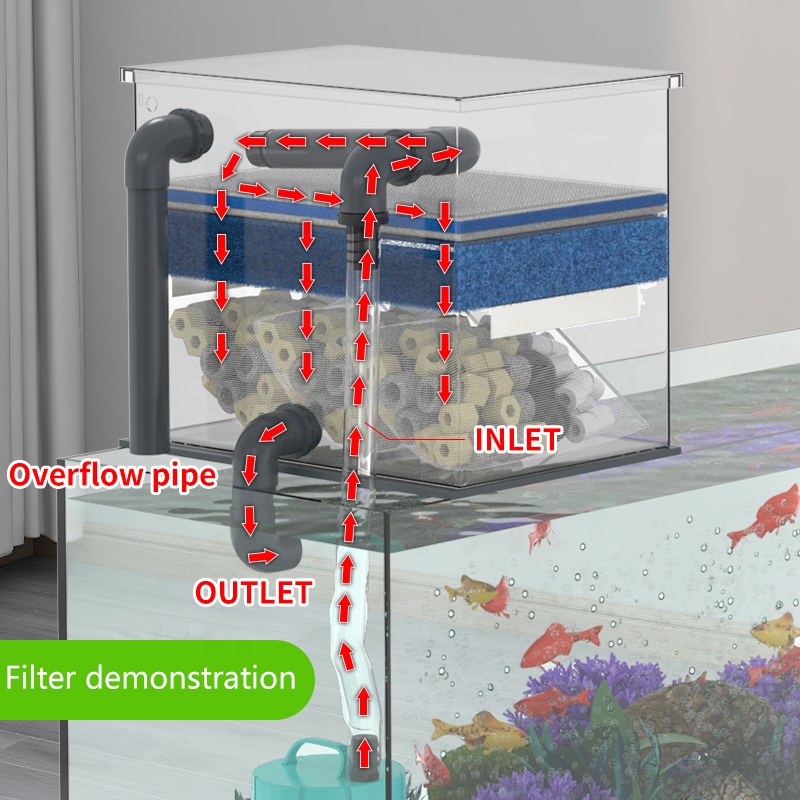 Direktverkauf ab Werk, Aquariu – Aquarium Fish Sale Bewertung und Preis
