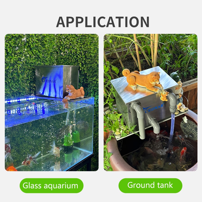 Direktverkauf ab Werk, Aquariu – Aquarium Fish Sale Bewertung und Preis