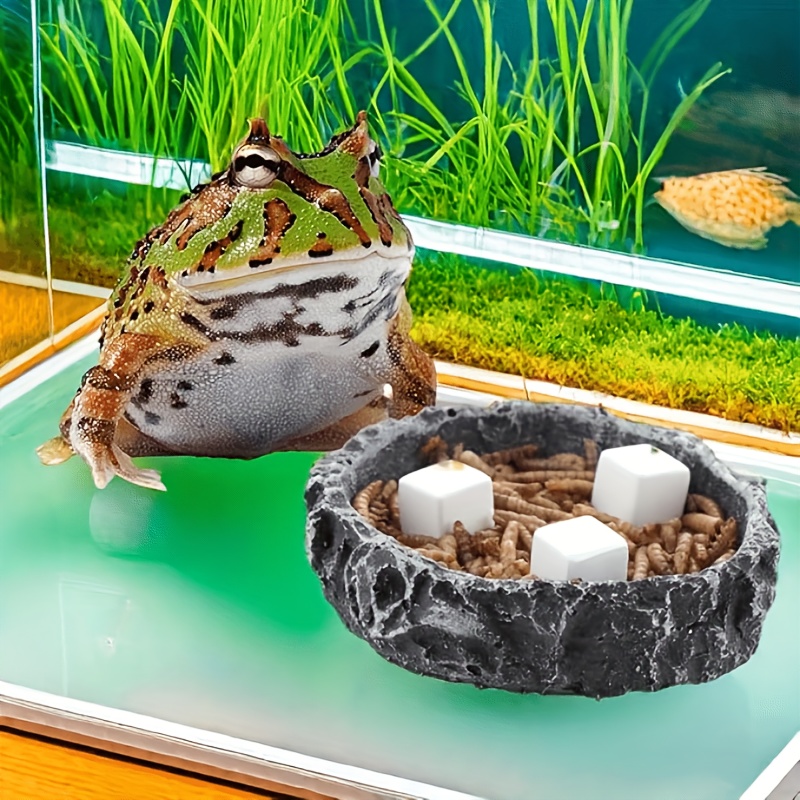 6-teiliger Aquarium-Kalziumblo – Aquarium Fish Hiding Places Bewertung und Preis
